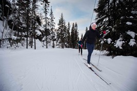 Two cross-country skiers ski in a forest, with a large cliff nearby.