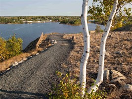 A segment of trail that overlooks Flin Flon, with a Birch tree in the foreground, and Ross Lake in the background.